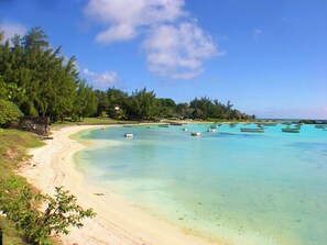 A beach with clear turquoise water, a sandy shore, and a line of trees.