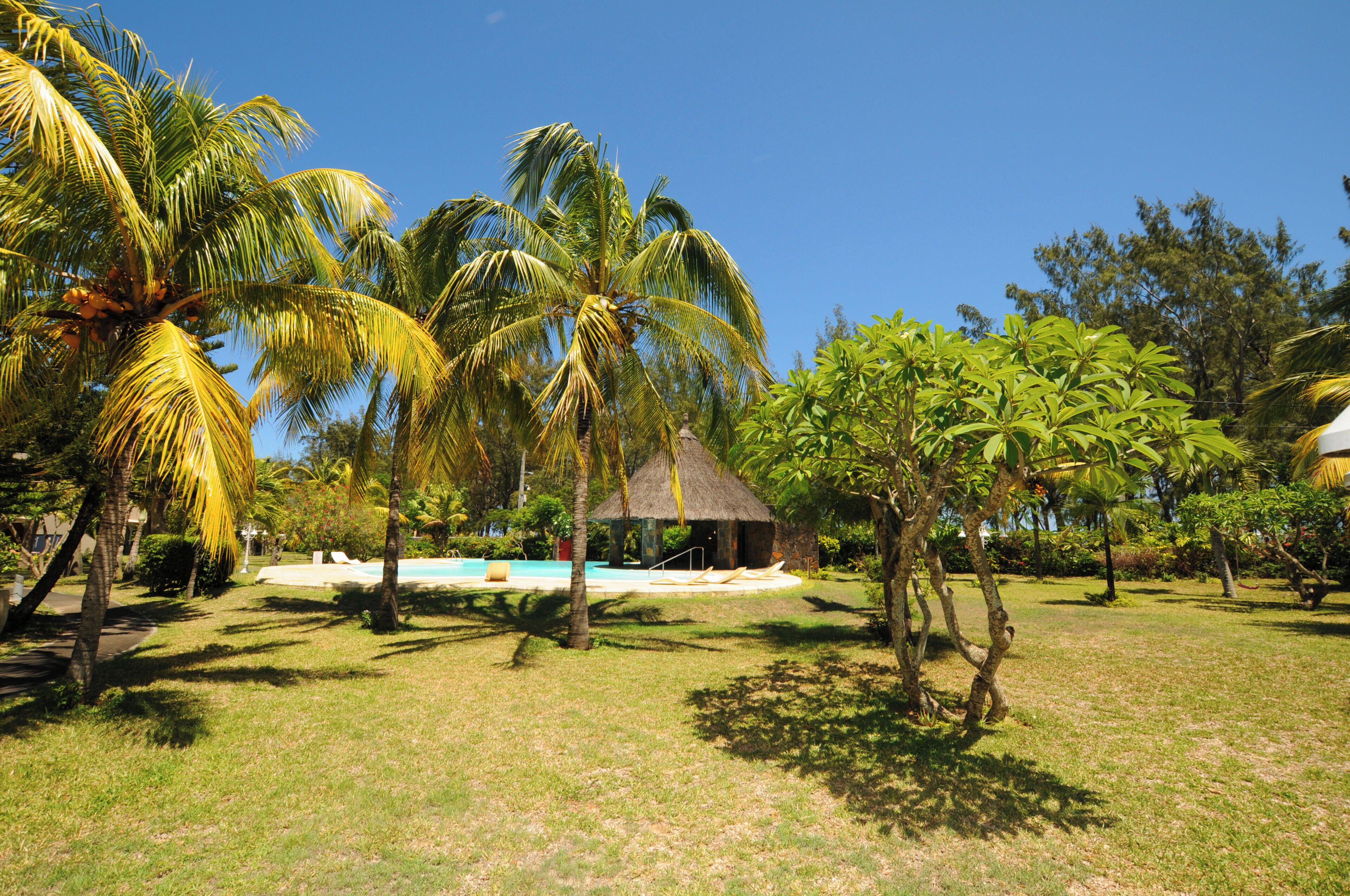 A tropical resort with palm trees, a pool, and a thatched-roof hut.