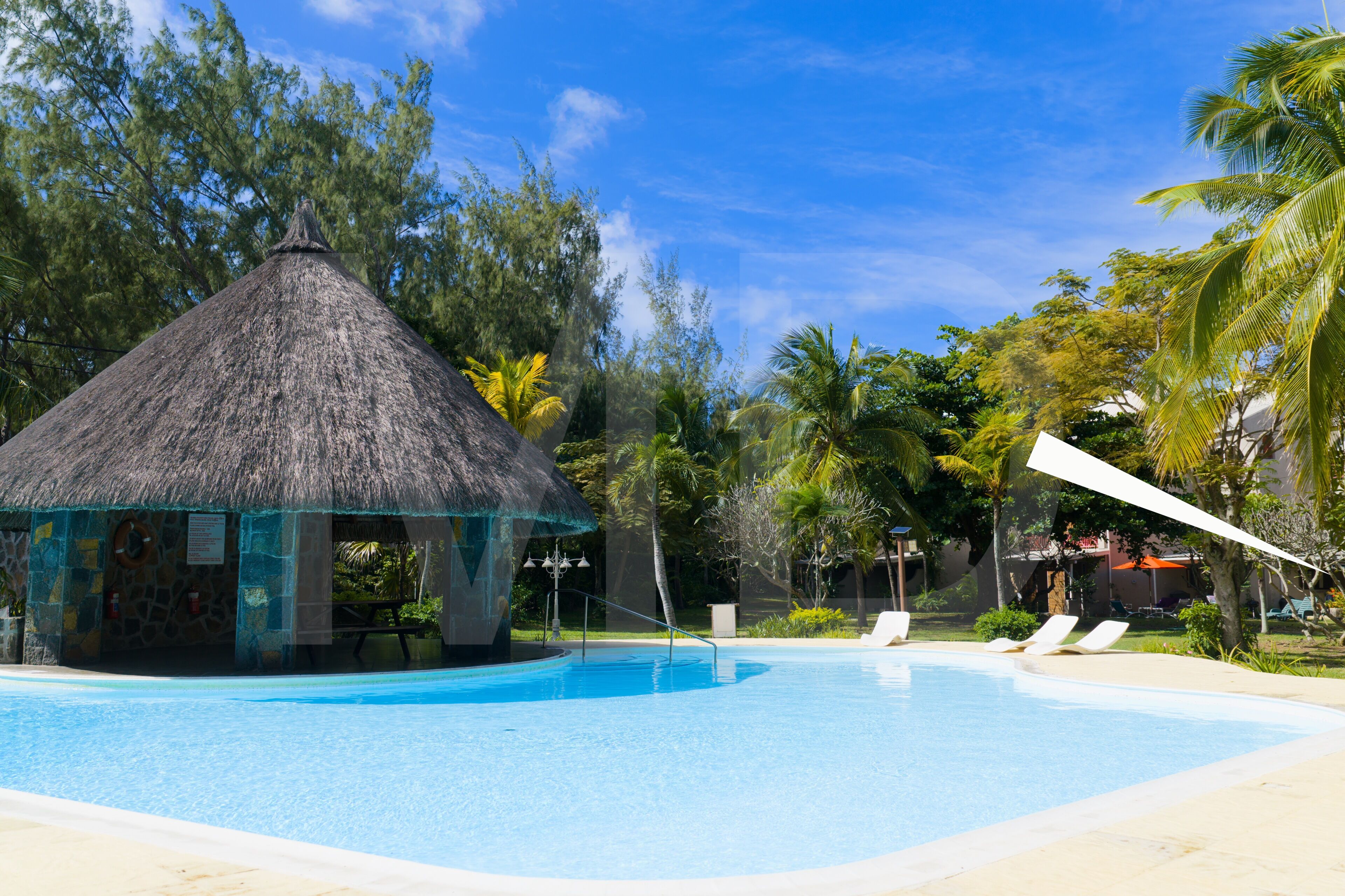 Une piscine avec des chaises longues, un abri à toit de chaume et une végétation tropicale.