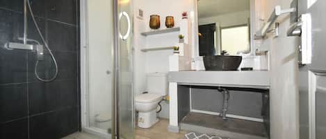 A bathroom with a glass shower enclosure, a toilet, a sink with a mirror, and a small shelf with decorative items.