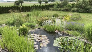 Ein Garten mit Teich, umgeben von verschiedenen Pflanzen und Blumen.