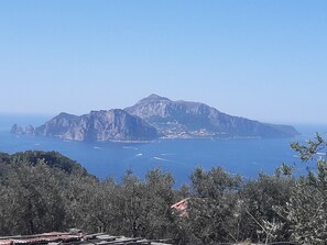 Photo non classée, 3 sur 21, bouton