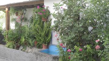 Detalle del exterior