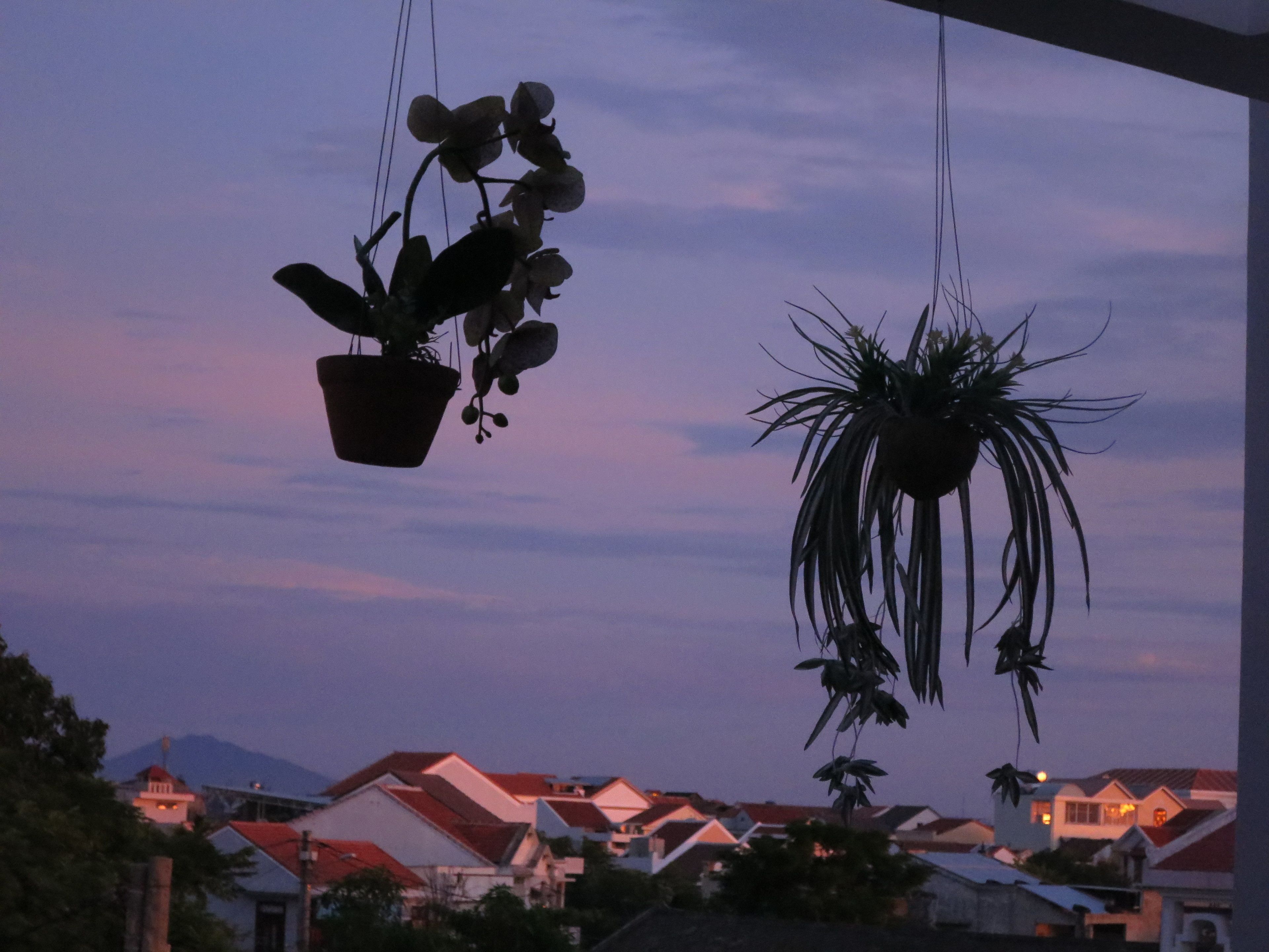 Photo - Fireworks Homestay