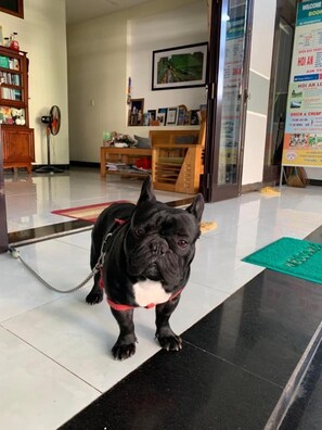 Photo non classée, 5 sur 48, bouton