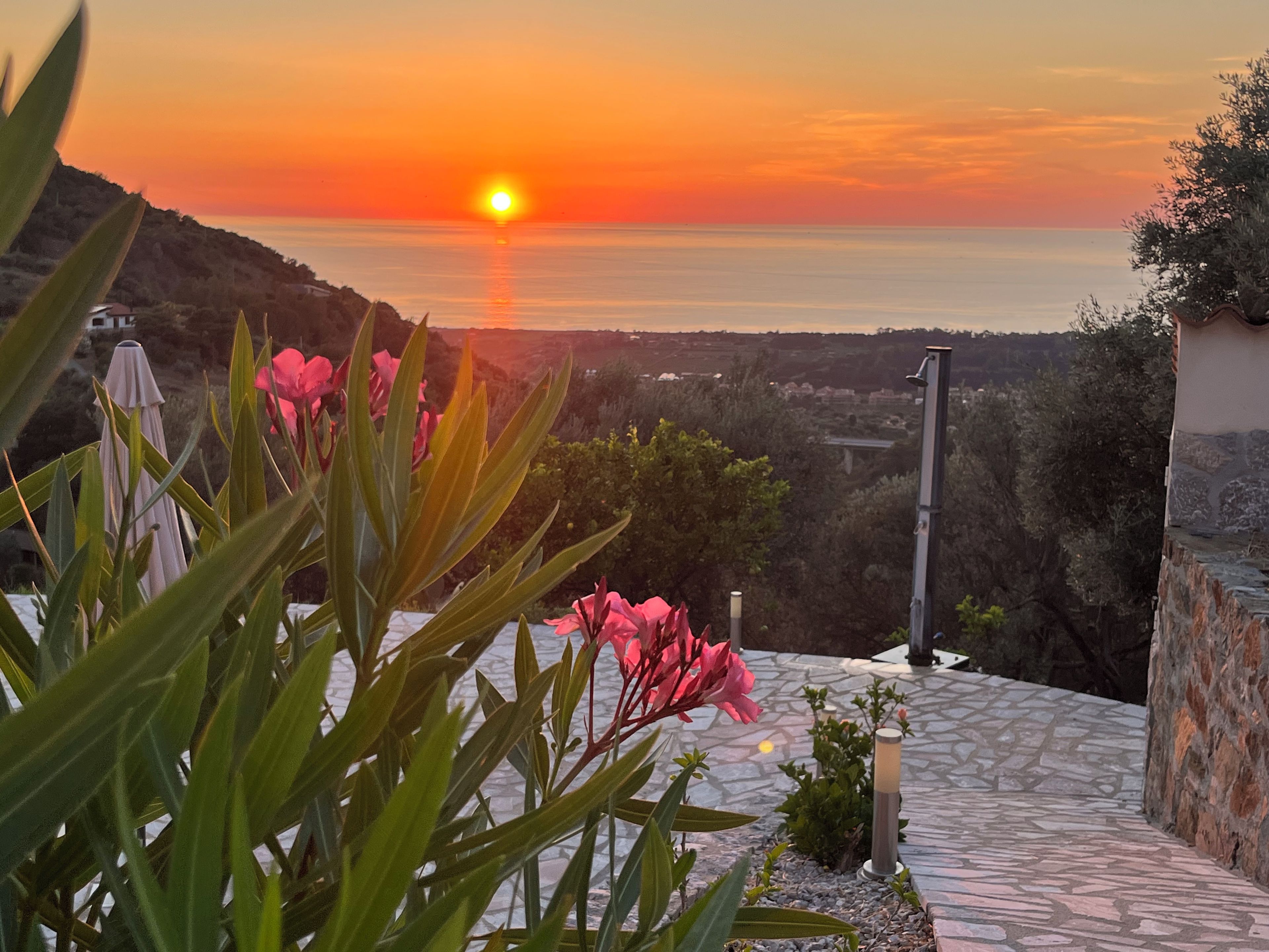 Tramonto su un paesaggio costiero con un vialetto lastricato e piante fiorite.