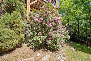 Un jardin agrémenté de divers arbustes et plantes à fleurs, d’une structure en bois et d’un chemin pavé de pierres.