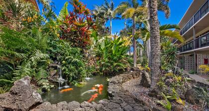 Fabulous condo, great ocean views, steps from a great snorkeling beach.