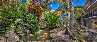 Fabulous condo, great ocean views, steps from a great snorkeling beach.