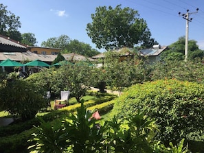 Garden - Flower Garden Resort (Weerawila)