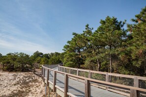 A wooden boardwalk with metal railings, surrounded by dense pine trees and sandy terrain.
