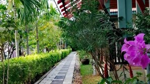 Imej tidak diklasifikasikan, 4 daripada 71, butang