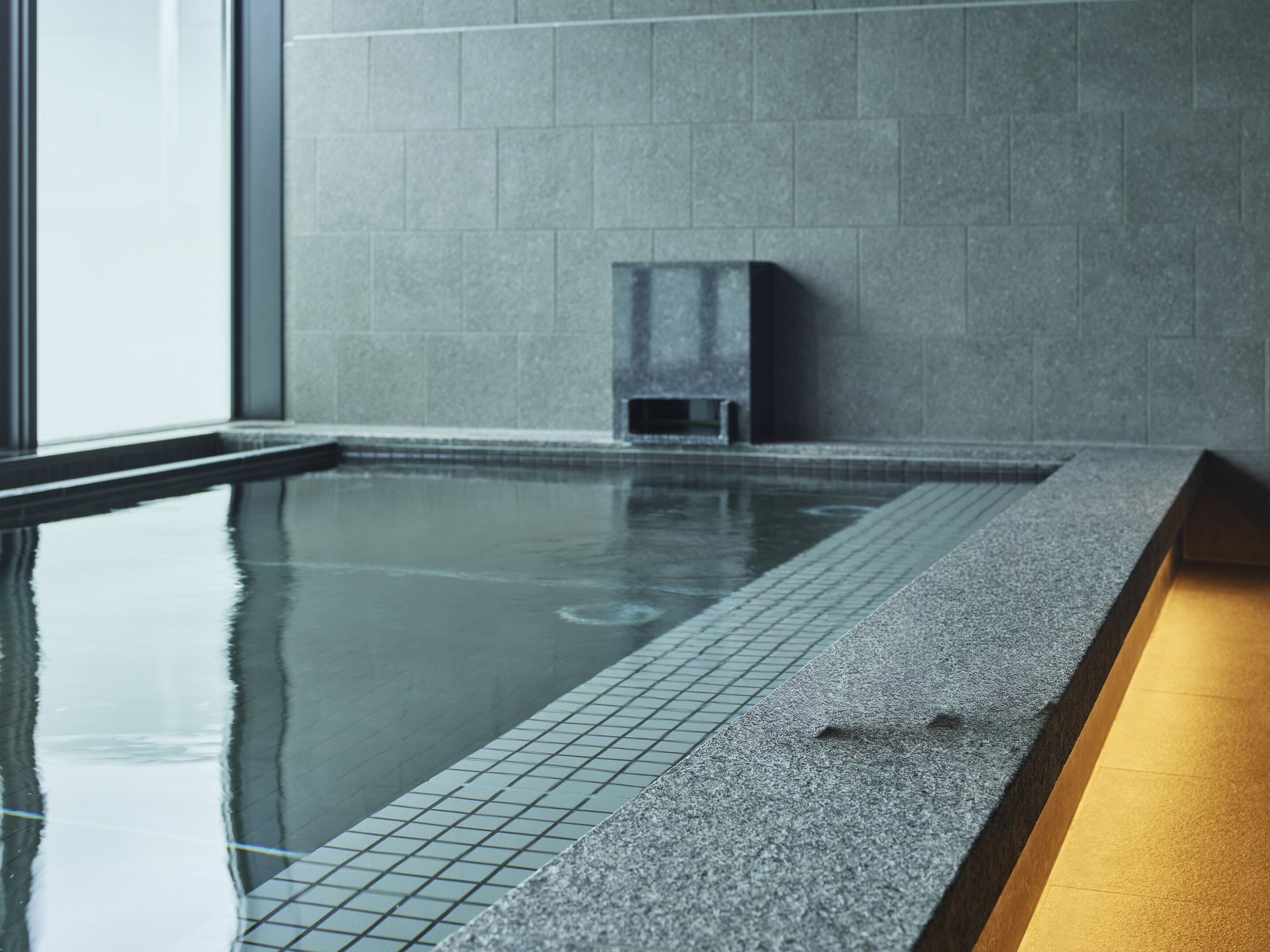 A swimming pool with a tiled edge and a stone wall in the background.