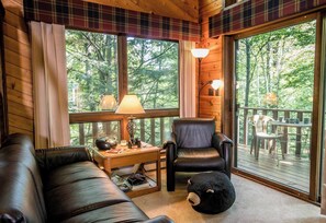 TV, fireplace, foosball