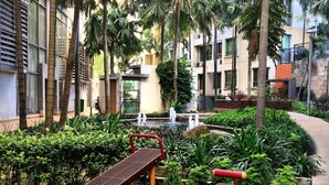 Un'area giochi con due scivoli e panchine, circondata da palme e vegetazione, con edifici sullo sfondo.