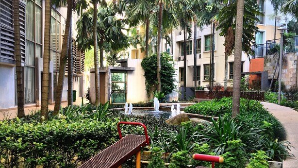 A playground with two slides and benches, surrounded by palm trees and greenery, with buildings in the background.