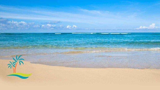 Una playa con agua azul cristalina y una orilla arenosa.