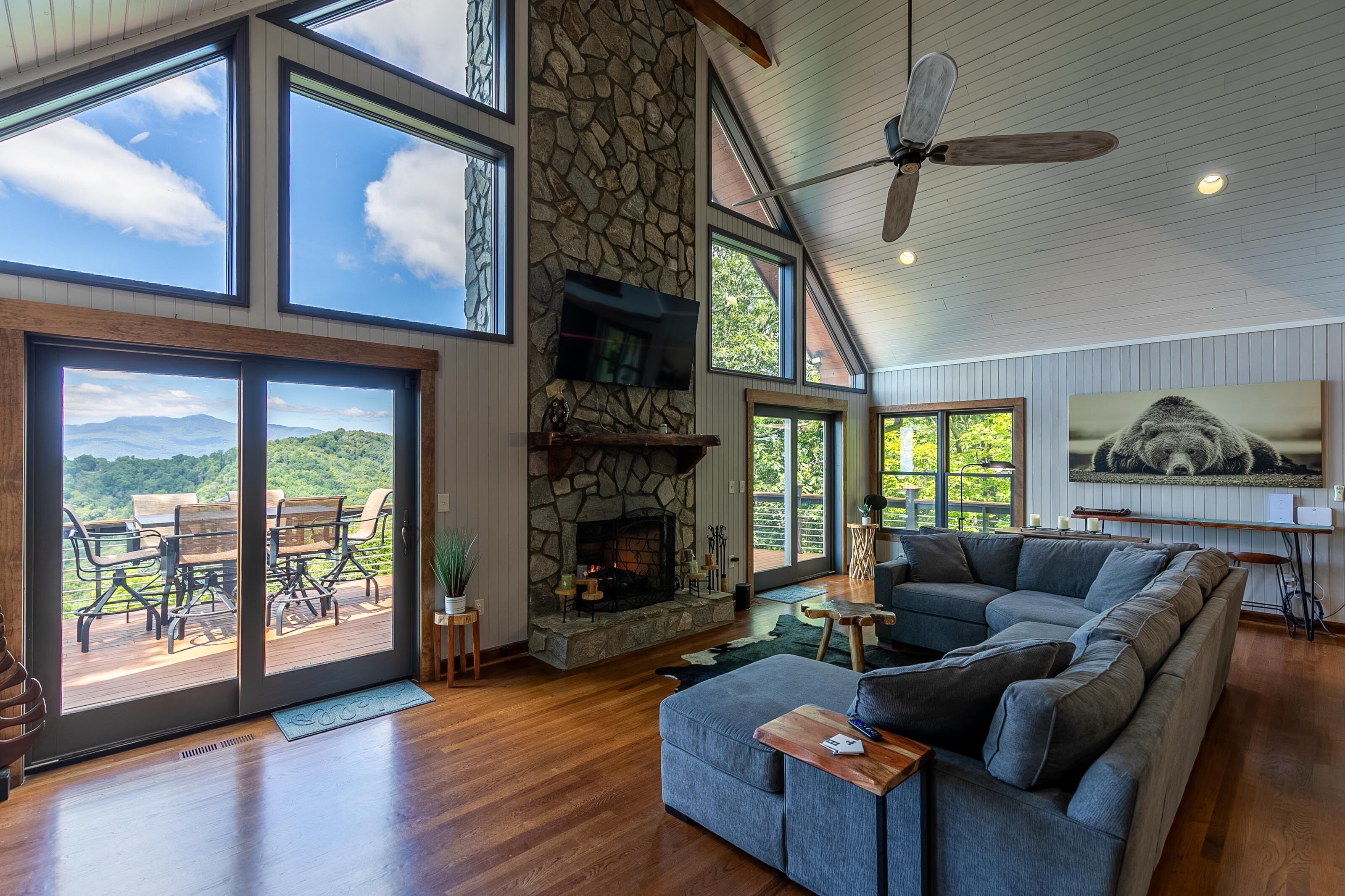 TV, fireplace, DVD player, ping pong