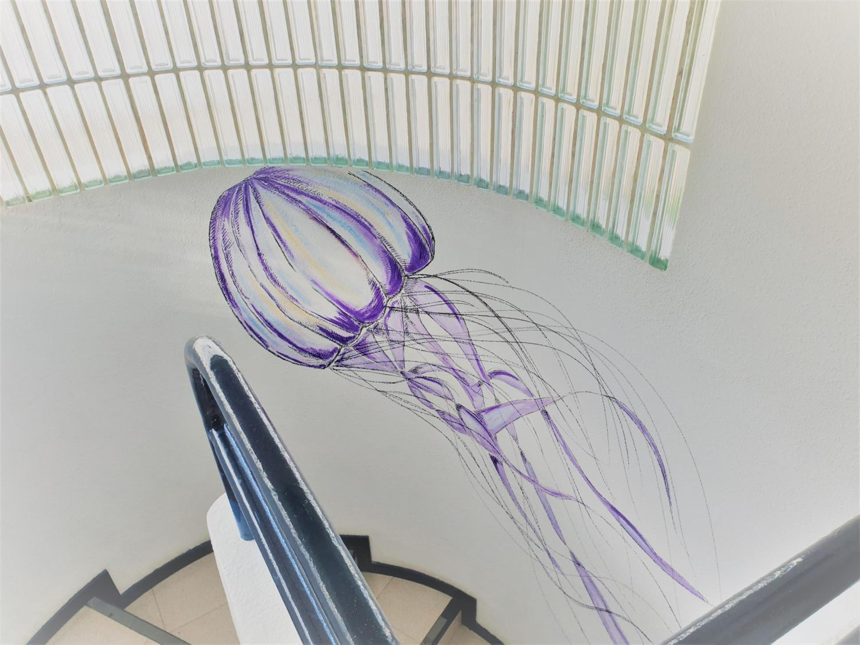 Foto - Endless Summer Hostel