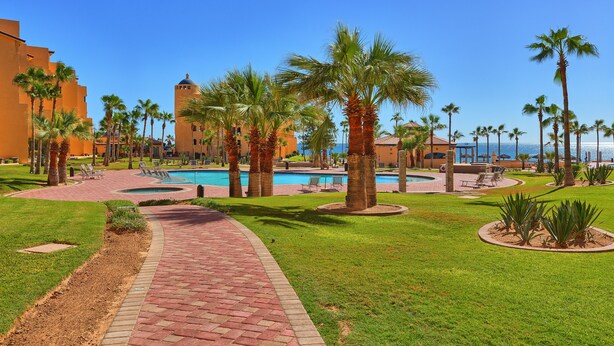 Zona de piscina en un resort, con palmeras, cielo azul despejado y vista al océano.