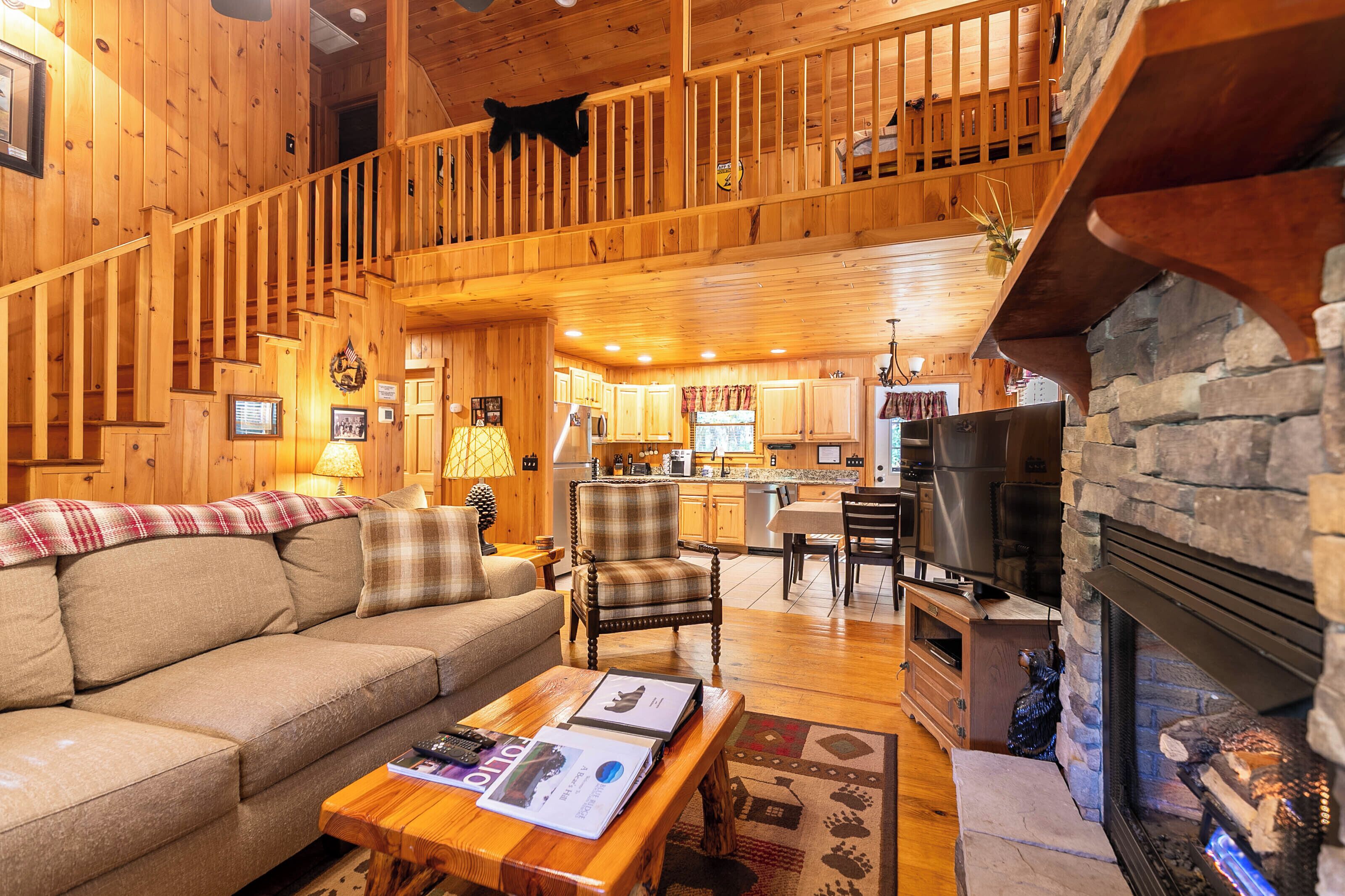 Télévision, cheminée, Netflix, lecteur de DVD