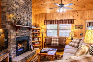 TV, caminetto, Netflix, lettore DVD