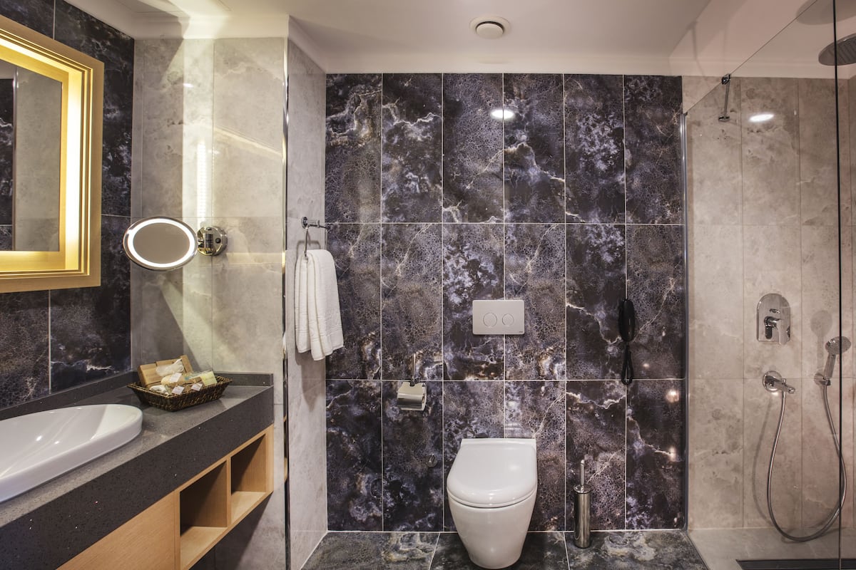 shower, free toiletries, hair dryer, slippers