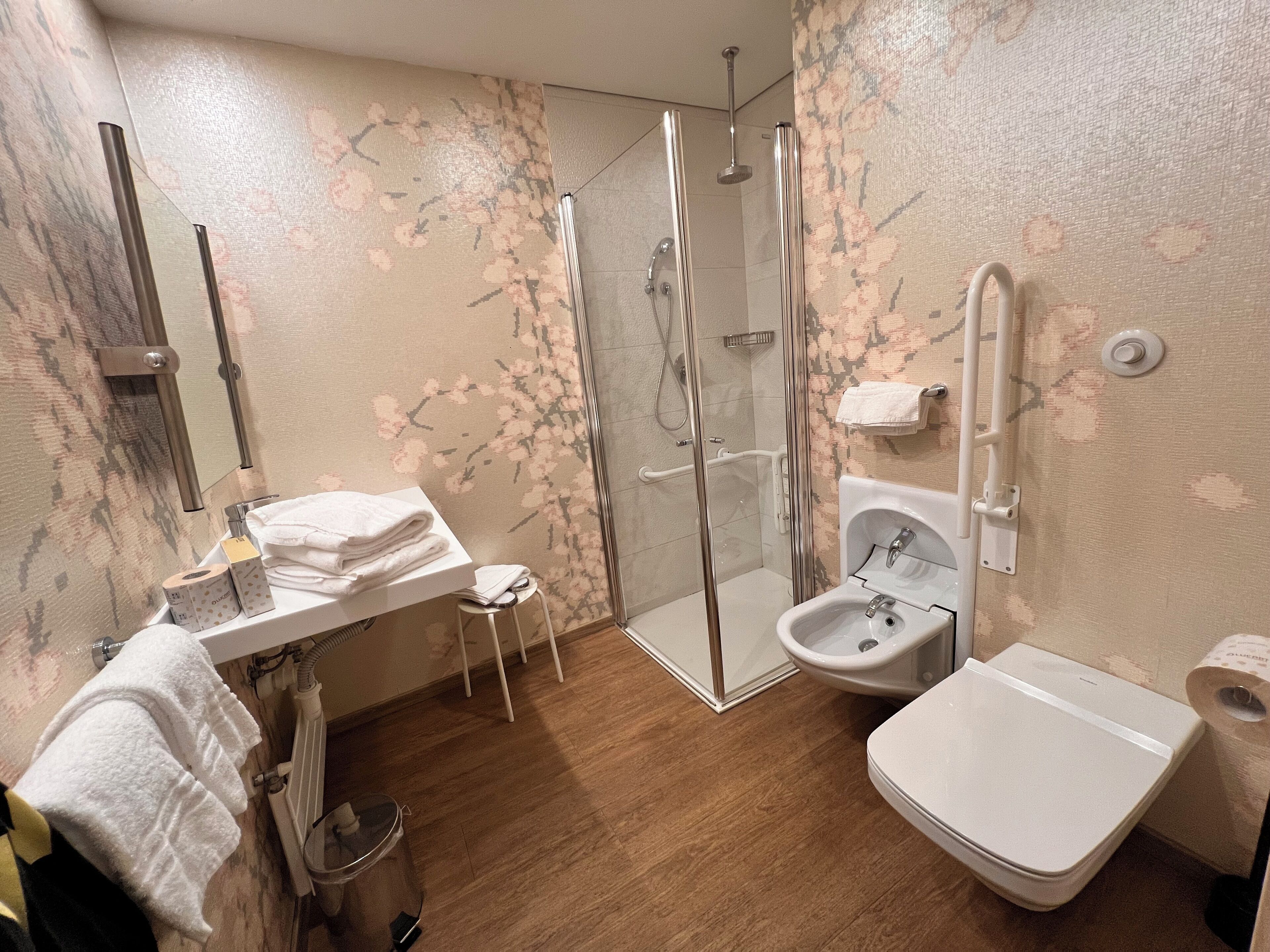 superior double or twin room, 1 bedroom | bathroom | shower, rainfall showerhead, free toiletries, bidet