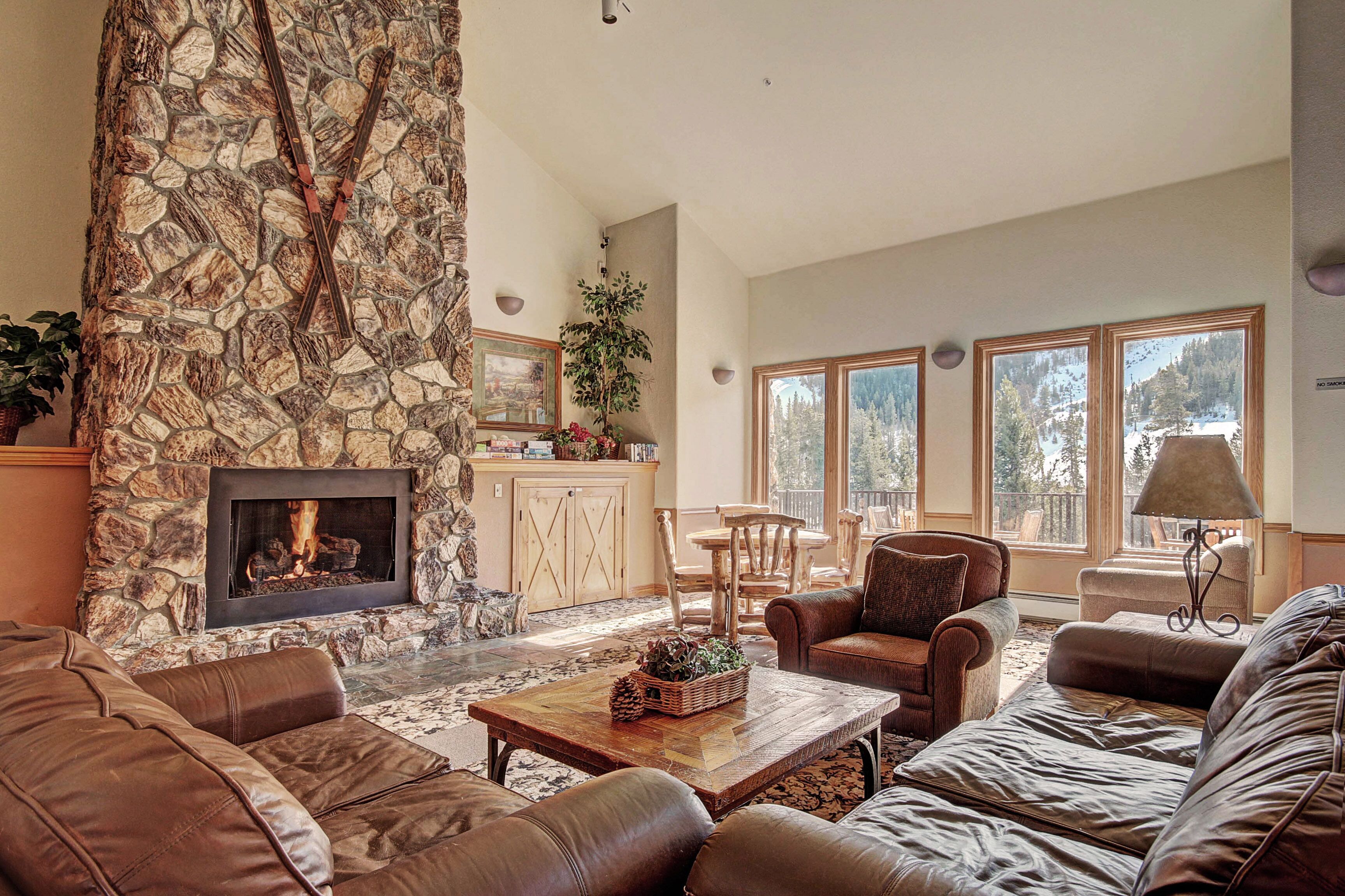 Flat-screen TV, fireplace, DVD player