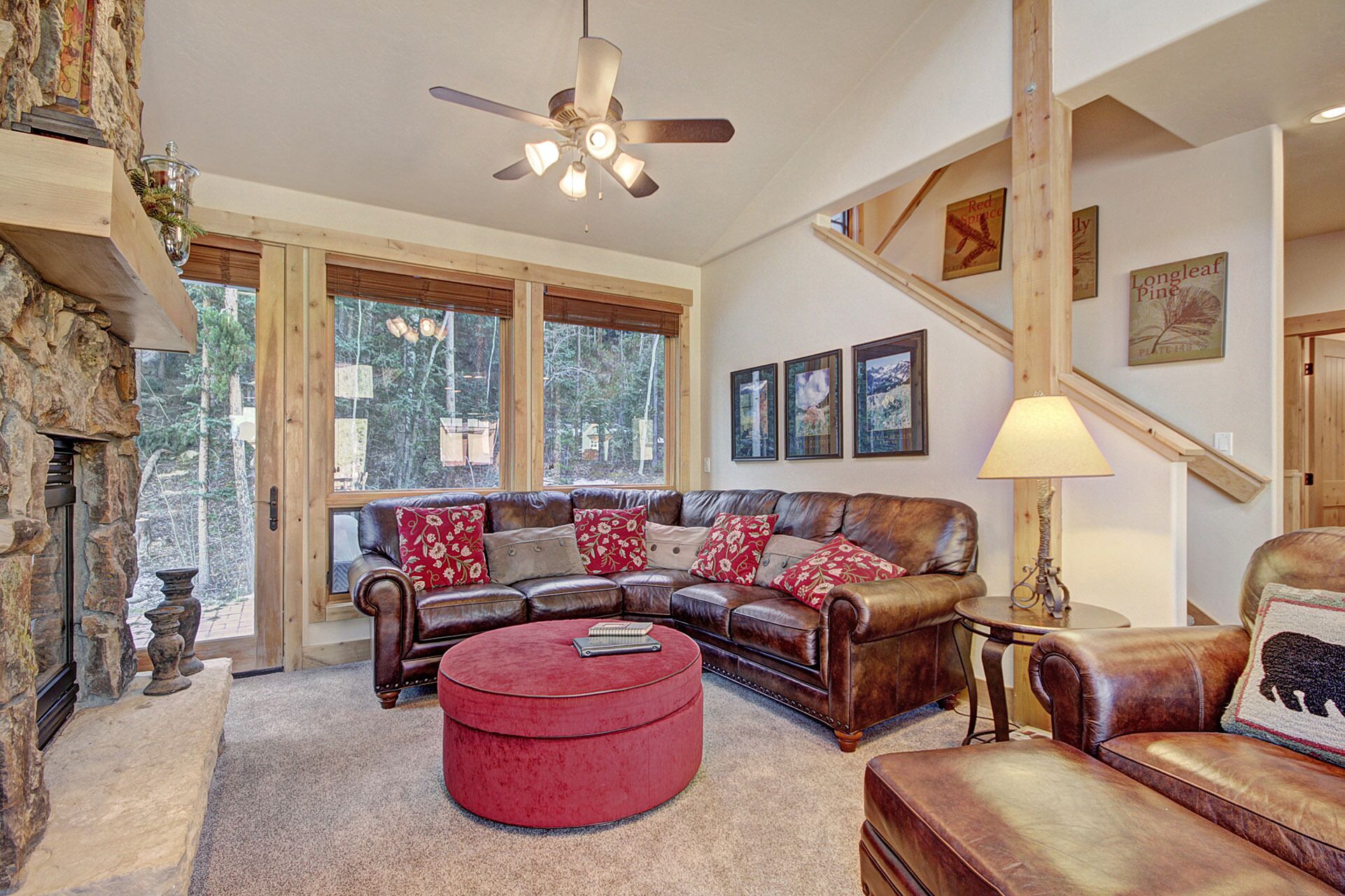 Smart TV, fireplace, DVD player, video library