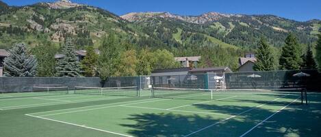A tennis court with a net, surrounded by trees and mountains in the background.