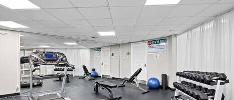 Uma academia com esteiras, halteres, bolas de exercício e um banco.