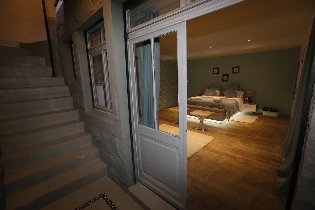 Basic Apartment, Terrace, Lake View | Iron/ironing board, WiFi (free)