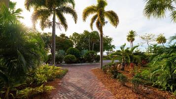 Terrein van de accommodatie