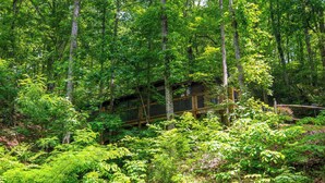 Ein bewaldetes Gebiet mit einer Holzhütte, möglicherweise eine Berghütte oder Schutzhaus, umgeben von dichtem Grün.