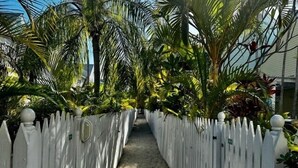 A pathway flanked by white picket fences and lush tropical plants, leading to a building. - Truman Annex Gem Shipyard 2BR C  Walk to Beach & Bars, Best of Old Town (Key West)