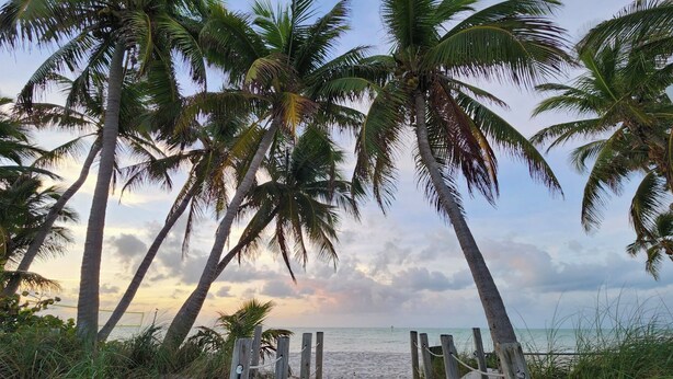 Beach - Truman Annex Gem Shipyard 2BR C  Walk to Beach & Bars, Best of Old Town (Key West)