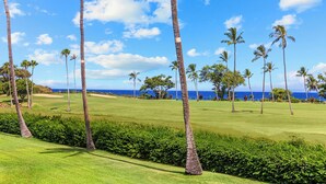 Un parcours de golf bordé de palmiers, avec un ciel dégagé et une vue sur l’océan.