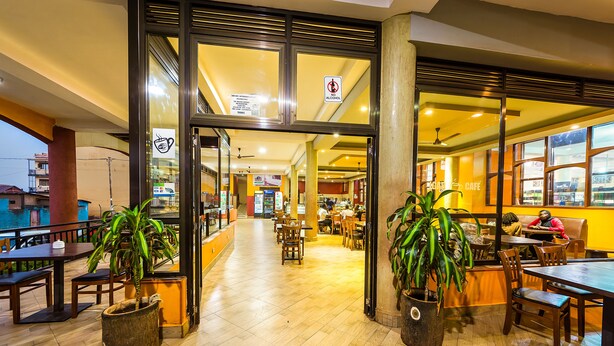 A spacious cafe with wooden furniture, large windows, and potted plants.