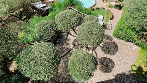 Una piscina rodeada de vegetación exuberante y un camino de piedra.