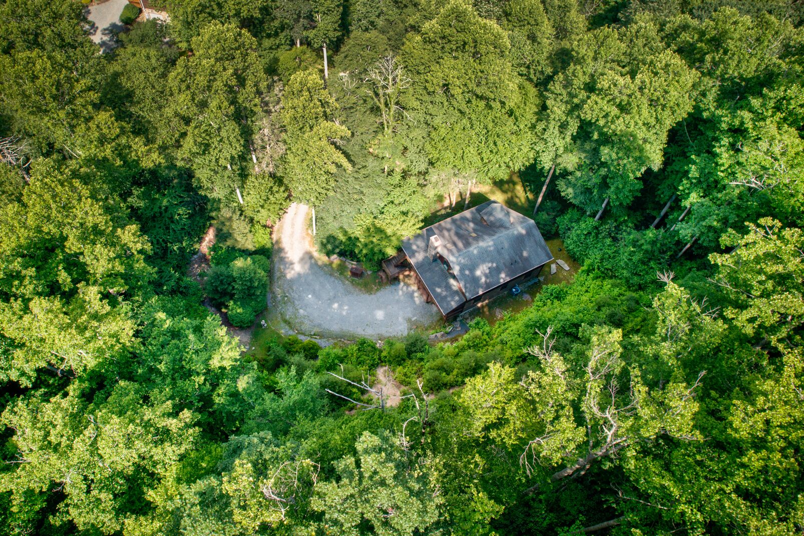 An aerial view of a rustic cabin surrounded by dense forest, with a gravel path leading to it.