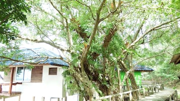 住宿地面