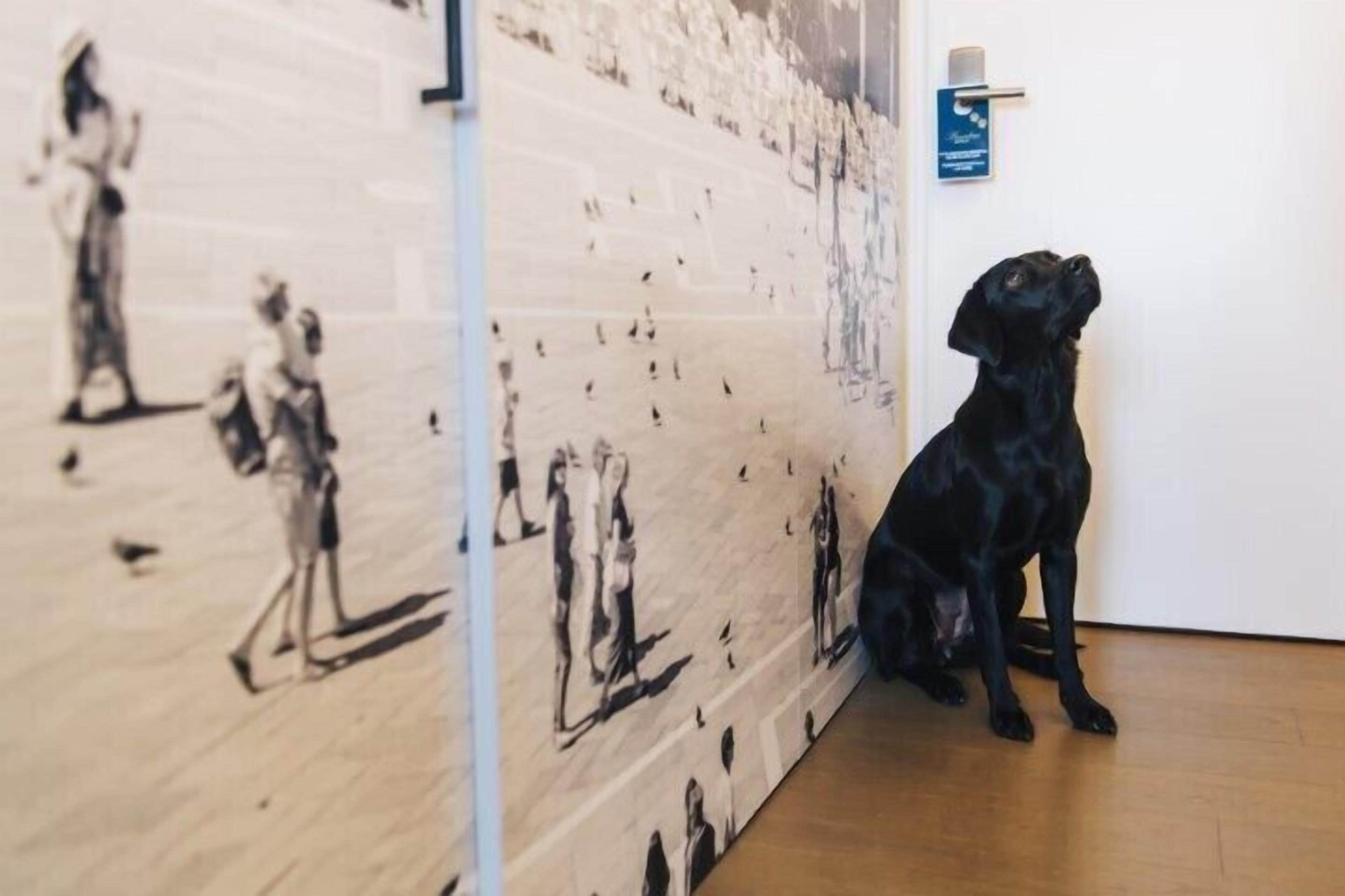 Un perro negro sentado sobre un piso de madera junto a una pared con una obra de arte blanco y negro.
