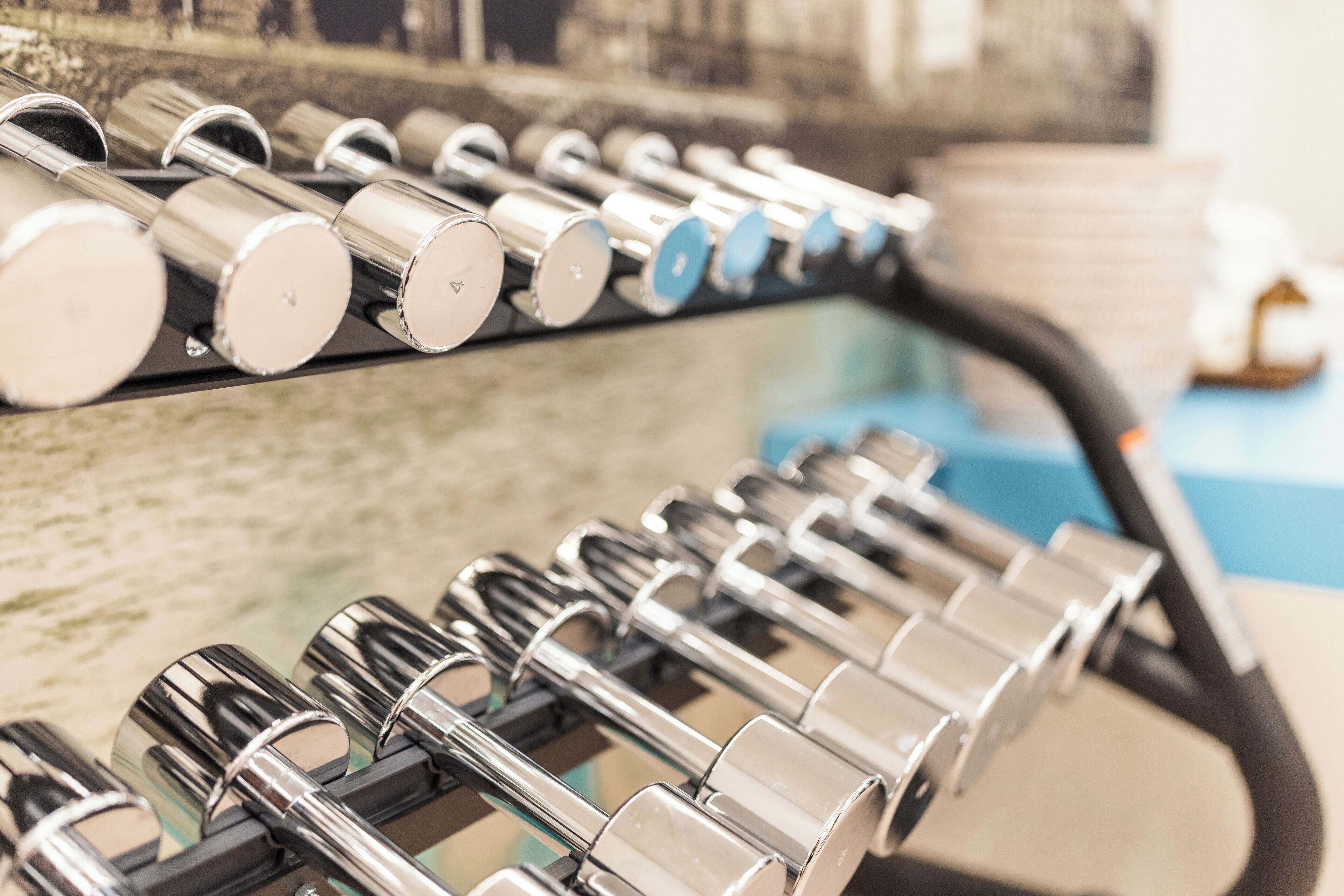 A row of silver dumbbells on a rack.