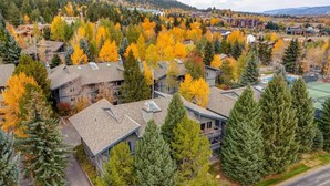 A residential area with houses surrounded by trees, some with visible roofs and others with green lawns. - Abode at Rendezvous, private entrance, large deck (Teton Village)