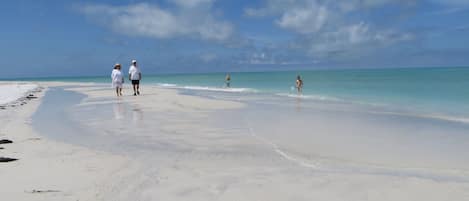 Playa