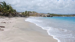 A beach with clear water, sandy shore, and palm trees. - BAYLEAF: The Perfect Hideaway near secluded beach (Hellene)