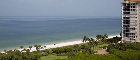 A beachfront hotel with a view of the ocean, a sandy beach, and palm trees.