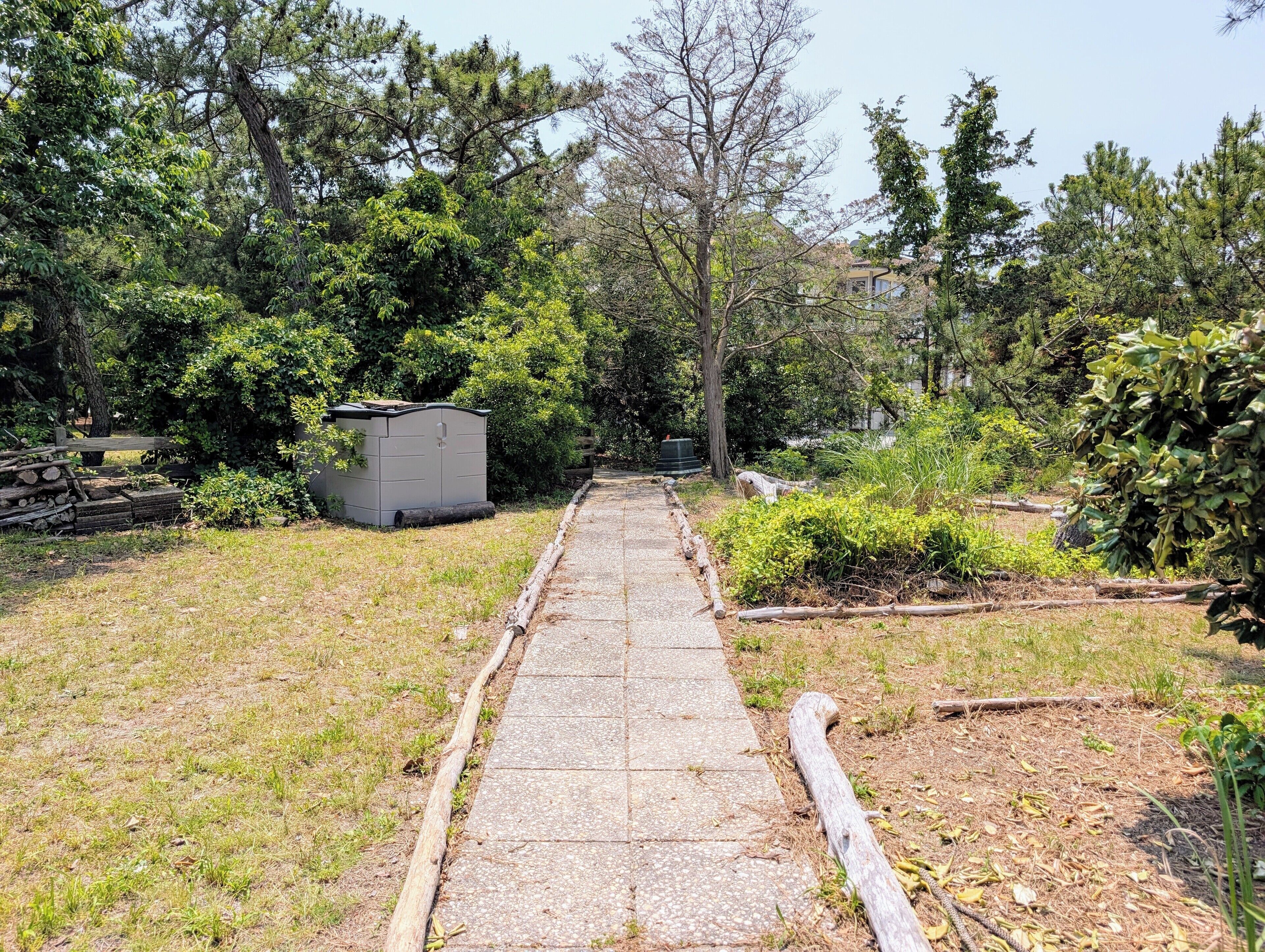 A paved pathway in a park-like setting with trees and a utility shed.