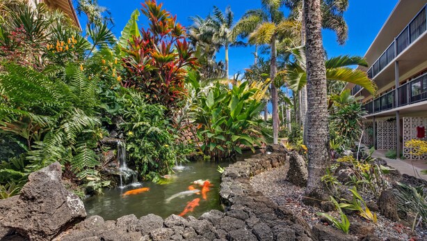 A tropical garden with a small pond, palm trees, and a waterfall. - Prince Kuhio 202, Comfortable Poipu lodging, lanai overlooking the ocean (Poipu)